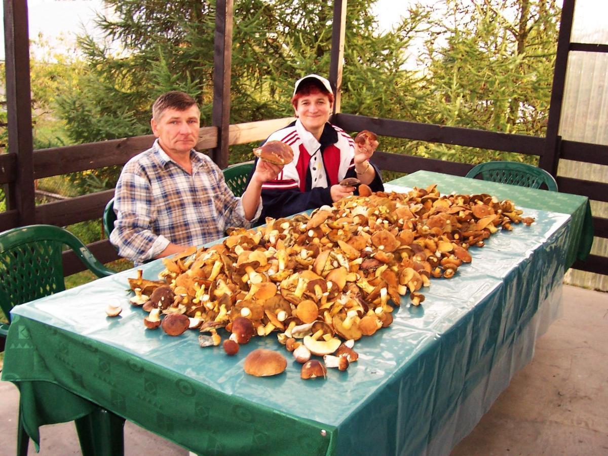 Biebrza24 - Agroturystyka Sztabin Buitenkant foto