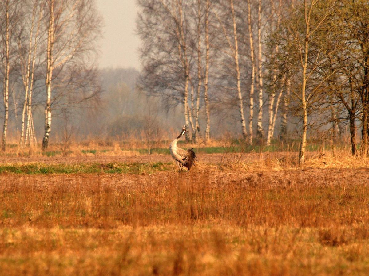 Biebrza24 - Agroturystyka Sztabin Buitenkant foto